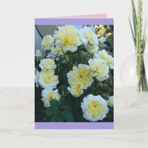 Gele David Austin Rozen Rozentuin bloemen Kaart