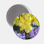 Gele Daylilies & Paarse Lila Bloemen Magneet (Voorkant / Achterkant)