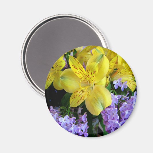 Gele Daylilies & Paarse Lila Bloemen Magneet (Voorkant / Achterkant)