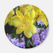 Gele Daylilies & Paarse Lila Bloemen Magneet (Voorkant)