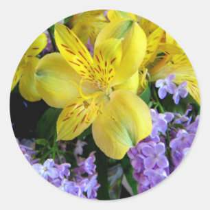 Gele Daylilies & Paarse Lila Bloemen Ronde Sticker