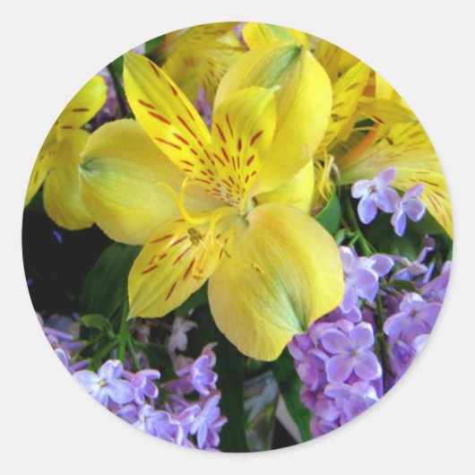 Gele Daylilies & Paarse Lila Bloemen Ronde Sticker (Voorkant)