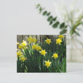 Gele deaffodils briefkaart (Staand voorkant)