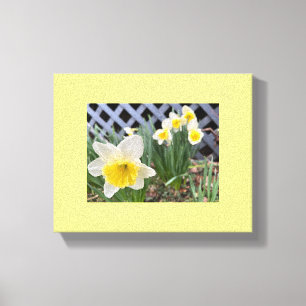 Gele deaffodils canvas afdruk