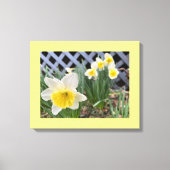 Gele deaffodils canvas afdruk (Voorkant)