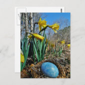 Gele deffodils en blauw ei in nestgebied briefkaart (Voorkant / Achterkant)