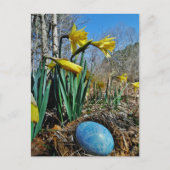 Gele deffodils en blauw ei in nestgebied briefkaart (Voorkant)