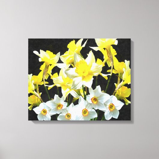 Gele deffodils en witte Narcissi op grijs Canvas Afdruk (Voorkant)