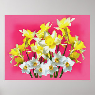 gele deffodils en witte Narcissi viva magenta Poster