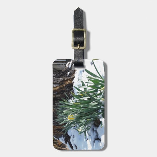 Gele deffodils in de sneeuw bagagelabel (Voorkant verticaal)