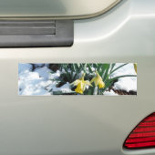 Gele deffodils in de sneeuw bumpersticker (Op auto)