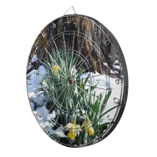 Gele deffodils in de sneeuw dartbord (Voorkant Rechts)