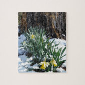 Gele deffodils in de sneeuw legpuzzel (Verticaal)