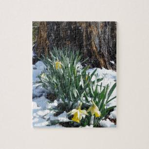 Gele deffodils in de sneeuw legpuzzel
