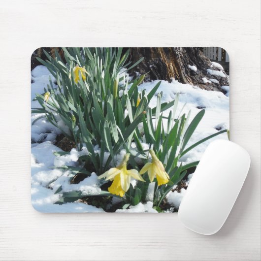 Gele deffodils in de sneeuw muismat (Met muis)