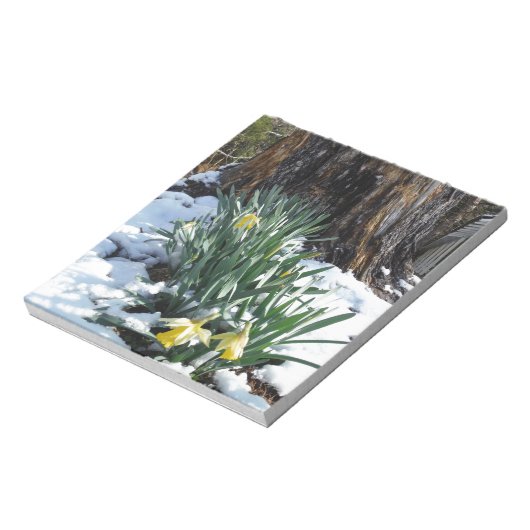 Gele deffodils in de sneeuw notitieblok (Linkerzijde)