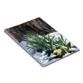 Gele deffodils in de sneeuw notitieboek (Rechterzijde)