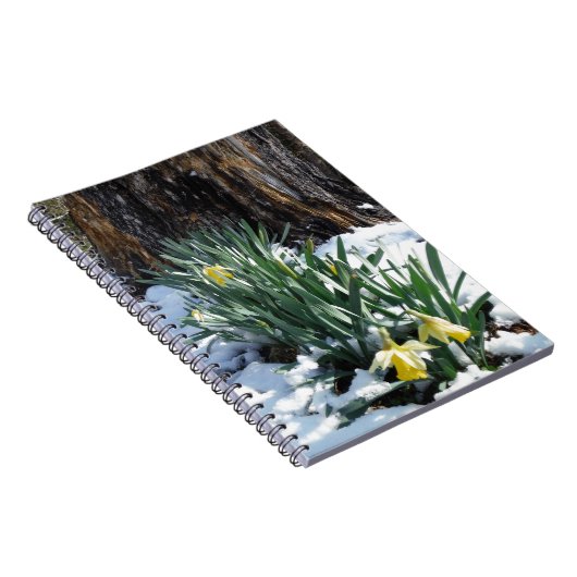 Gele deffodils in de sneeuw notitieboek (Rechterzijde)
