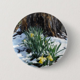 Gele deffodils in de sneeuw ronde button 5,7 cm
