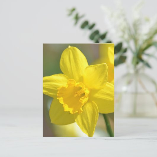 Gele deffodilventiel briefkaart (Staand voorkant)