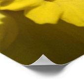 Gele deffodilventilatorbenzalen en -centrifuges poster (Hoek)