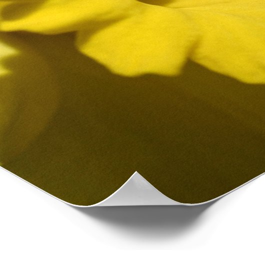 Gele deffodilventilatorbenzalen en -centrifuges poster (Hoek)