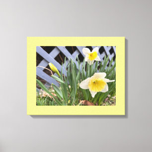 Gele deffodis #2 canvas afdruk