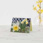 Gele deffodis #3 kaart (Gele Bloem)