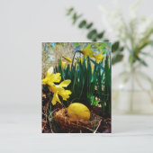 Gele deffodis en een geel paasei feestdagenkaart (Staand voorkant)