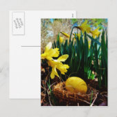 Gele deffodis en een geel paasei feestdagenkaart (Voorkant / Achterkant)