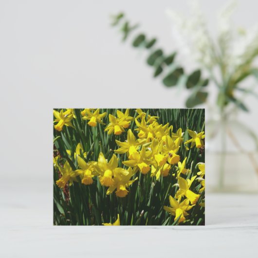 Gele deffodis ik Cheery Spring Flowers (Staand voorkant)
