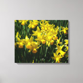 Gele deffodis ik Cheery Spring Flowers Canvas Afdruk (Voorkant)