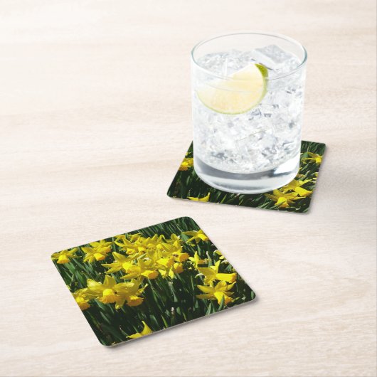 Gele deffodis ik Cheery Spring Flowers Kartonnen Onderzetters (Insitu)