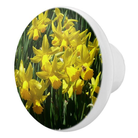 Gele deffodis ik Cheery Spring Flowers Keramische Knop (Rechts)