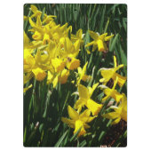Gele deffodis ik Cheery Spring Flowers Klembord (Achterkant)