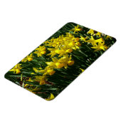 Gele deffodis ik Cheery Spring Flowers Magneet (Linkerzijde)