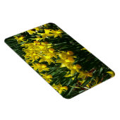 Gele deffodis ik Cheery Spring Flowers Magneet (Rechterzijde)