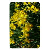 Gele deffodis ik Cheery Spring Flowers Magneet (Verticaal)