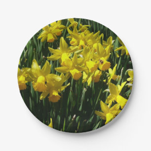 Gele deffodis ik Cheery Spring Flowers Papieren Bordje