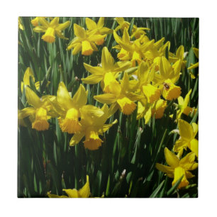 Gele deffodis ik Cheery Spring Flowers Tegeltje