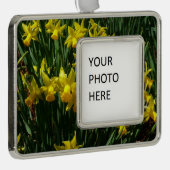 Gele deffodis ik Cheery Spring Flowers Verzilverd Omlijst Ornament (Rechts)