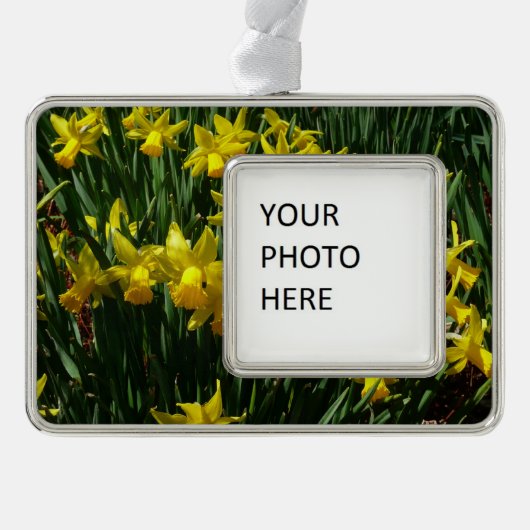 Gele deffodis ik Cheery Spring Flowers Verzilverd Omlijst Ornament (Voorkant)