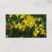 Gele deffodis ik Cheery Spring Flowers Visitekaartje (Achterkant)
