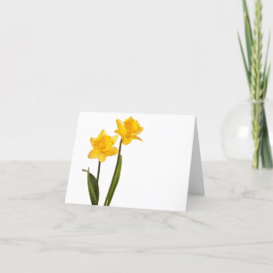 Gele deffodis op wit - Daffodilventilatorblank Kaart