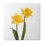 Gele deffodis op wit - Daffodilventilatorblank Tegeltje (Voorkant)