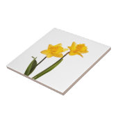 Gele deffodis op wit - Daffodilventilatorblank Tegeltje (Zijkant)