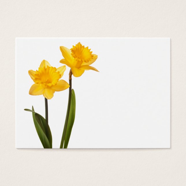 Gele deffodis op wit - Daffodilventilatorblank Visitekaartjes (Voorkant)