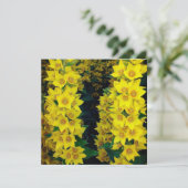 Gele delfiniumzijde bleekzijde Kaart (Staand voorkant)