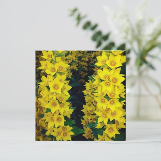 Gele delfiniumzijde bleekzijde Kaart (Staand voorkant)