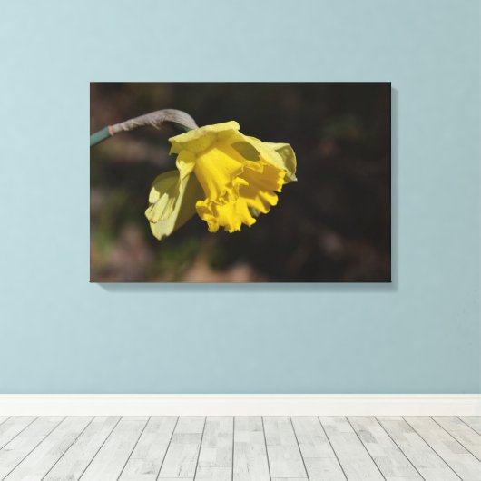  gele diaffodilventilator 24,00 x 16,00 inch canvas afdruk (Insitu (Houten vloer))